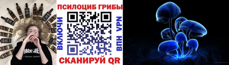 сайты даркнета состав  даркнет сайт  Корсаков  Галлюциногенные грибы Cubensis 