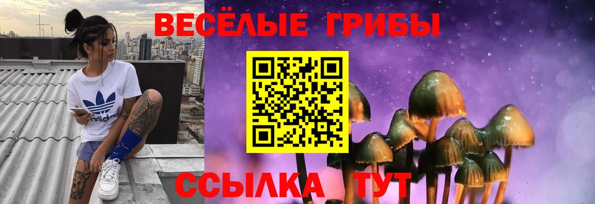 Галлюциногенные грибы Magic Shrooms  Вход с VPN  Корсаков  Галлюциногенные грибы MAGIC MUSHROOMS 